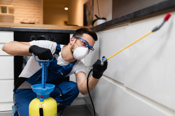Best Commercial Pest Control Services  in Hudson, NC