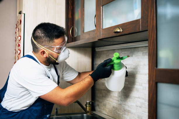 Best Best Pest Control Companies  in Hudson, NC