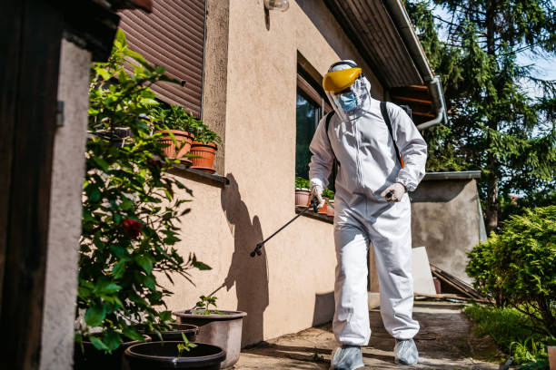 Best Cockroach Control Services  in Hudson, NC