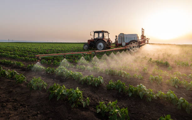 Pest Control Cost in Hudson, NC