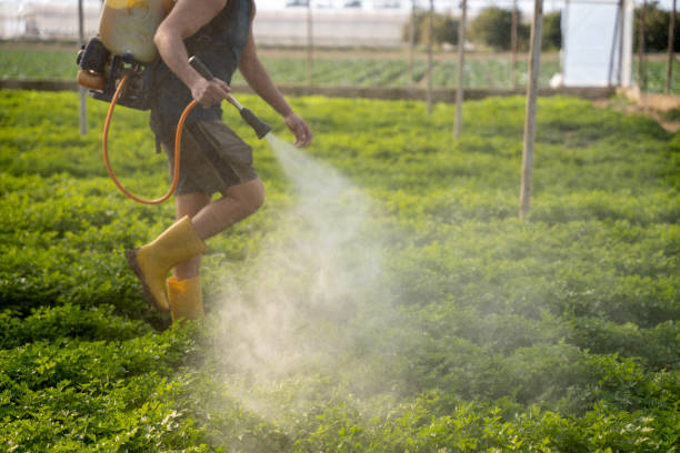 Best Best Pest Control Companies  in Hudson, NC