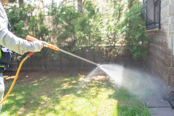 Best Spider Control Near Me  in Hudson, NC