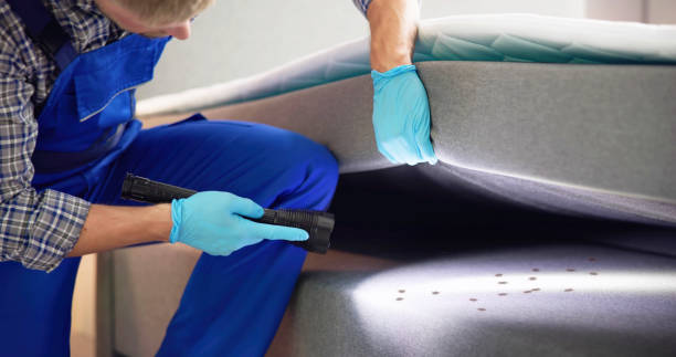 Best Cockroach Control Services  in Hudson, NC