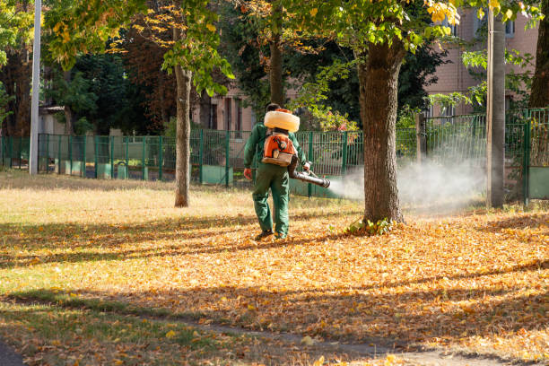 Best Pest Inspection Near Me  in Hudson, NC